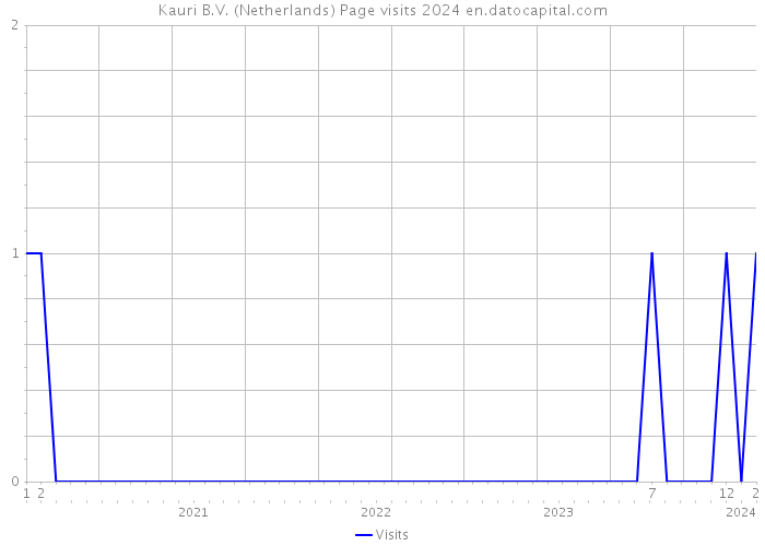 Kauri B.V. (Netherlands) Page visits 2024 