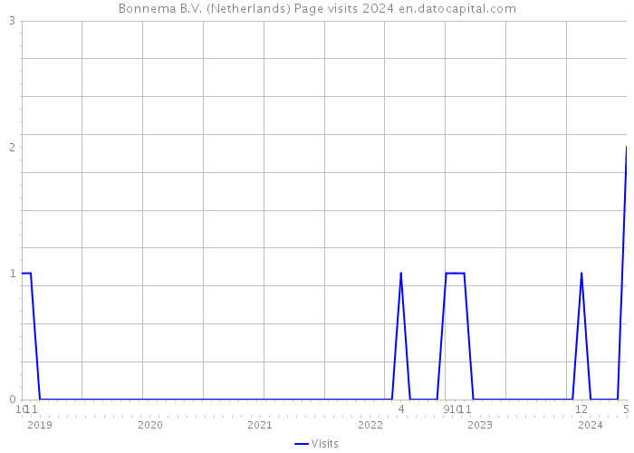 Bonnema B.V. (Netherlands) Page visits 2024 
