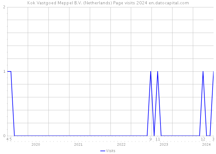 Kok Vastgoed Meppel B.V. (Netherlands) Page visits 2024 