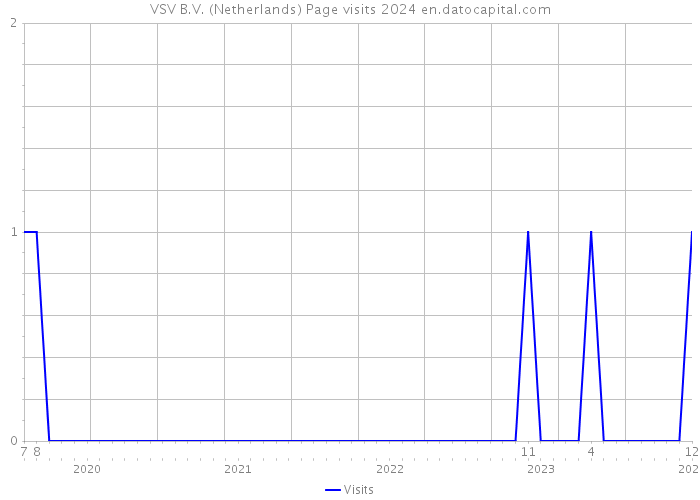 VSV B.V. (Netherlands) Page visits 2024 