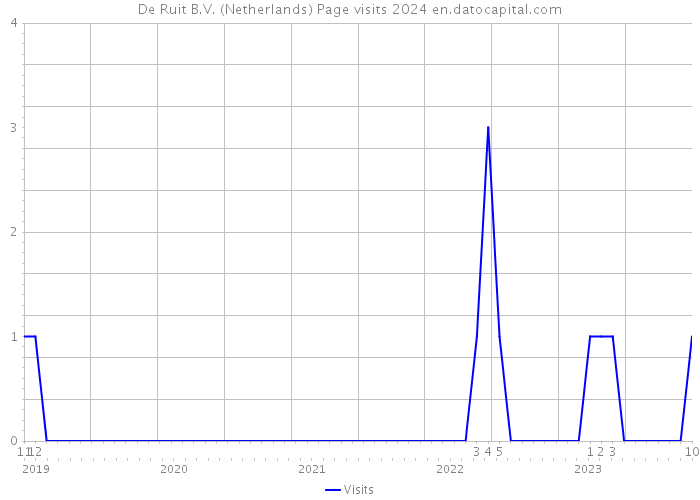 De Ruit B.V. (Netherlands) Page visits 2024 