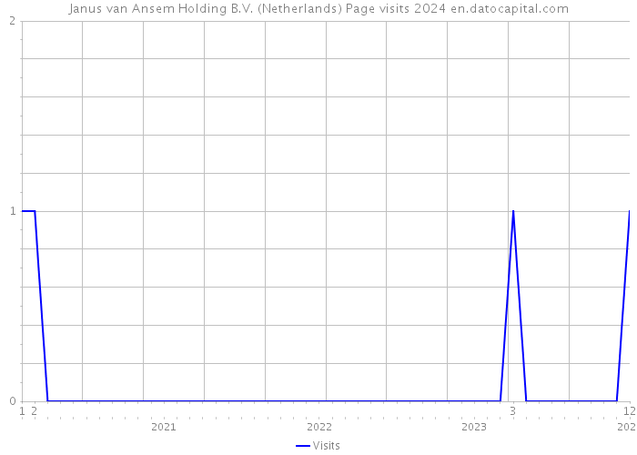 Janus van Ansem Holding B.V. (Netherlands) Page visits 2024 