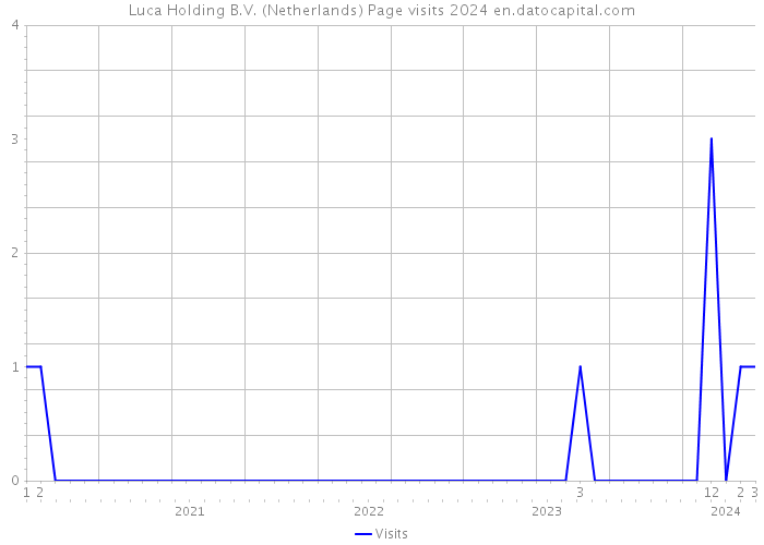 Luca Holding B.V. (Netherlands) Page visits 2024 