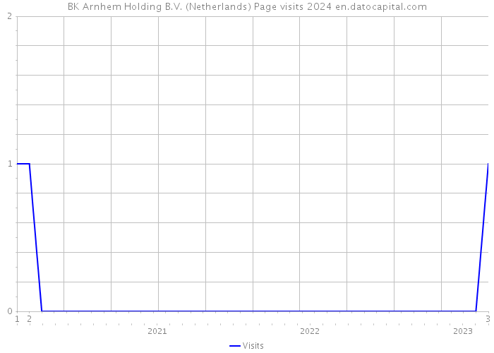 BK Arnhem Holding B.V. (Netherlands) Page visits 2024 