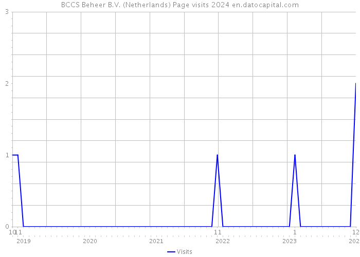 BCCS Beheer B.V. (Netherlands) Page visits 2024 