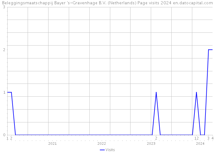 Beleggingsmaatschappij Bayer 's-Gravenhage B.V. (Netherlands) Page visits 2024 