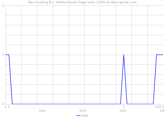 Bao Holding B.V. (Netherlands) Page visits 2024 