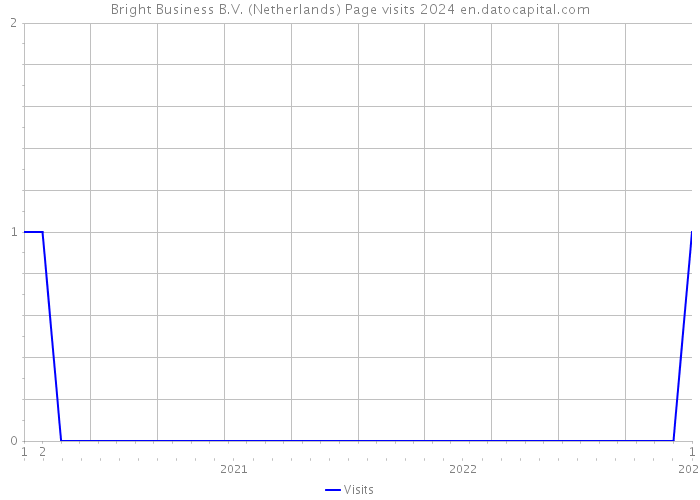 Bright Business B.V. (Netherlands) Page visits 2024 