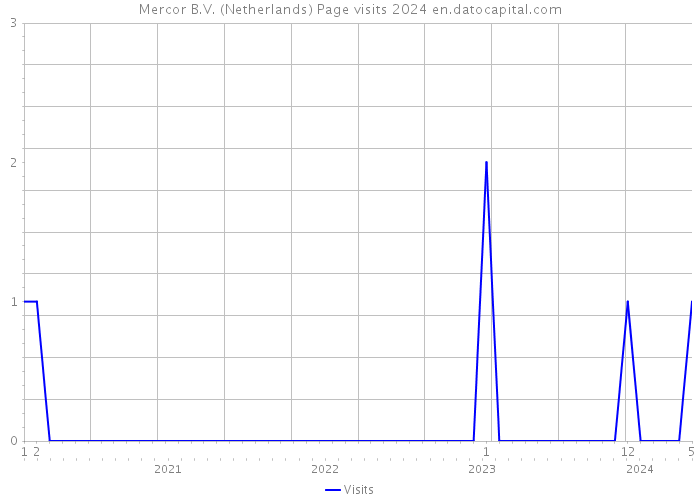 Mercor B.V. (Netherlands) Page visits 2024 