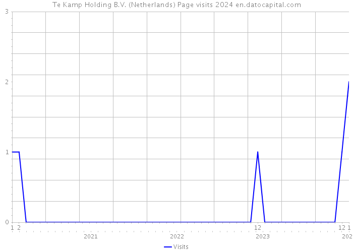 Te Kamp Holding B.V. (Netherlands) Page visits 2024 
