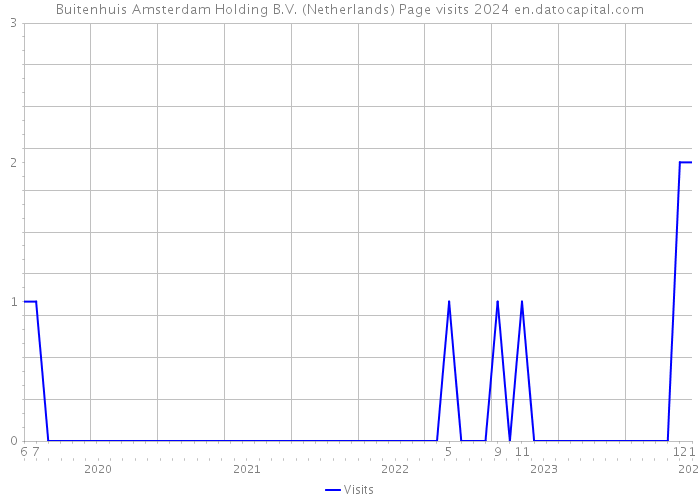 Buitenhuis Amsterdam Holding B.V. (Netherlands) Page visits 2024 
