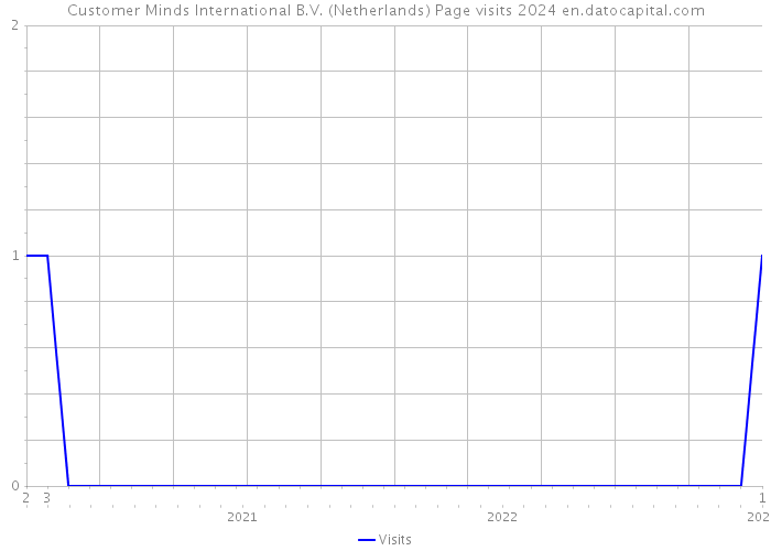 Customer Minds International B.V. (Netherlands) Page visits 2024 