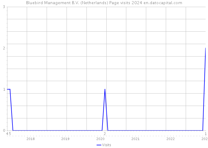 Bluebird Management B.V. (Netherlands) Page visits 2024 