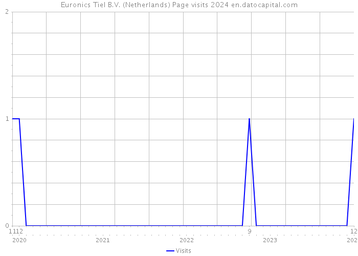 Euronics Tiel B.V. (Netherlands) Page visits 2024 