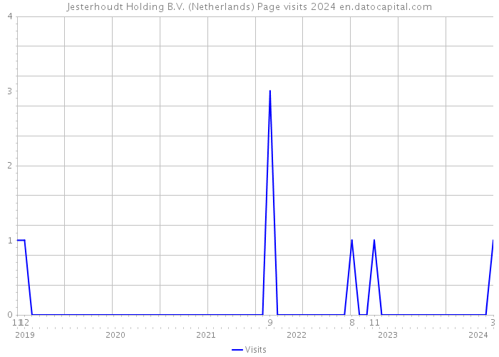 Jesterhoudt Holding B.V. (Netherlands) Page visits 2024 