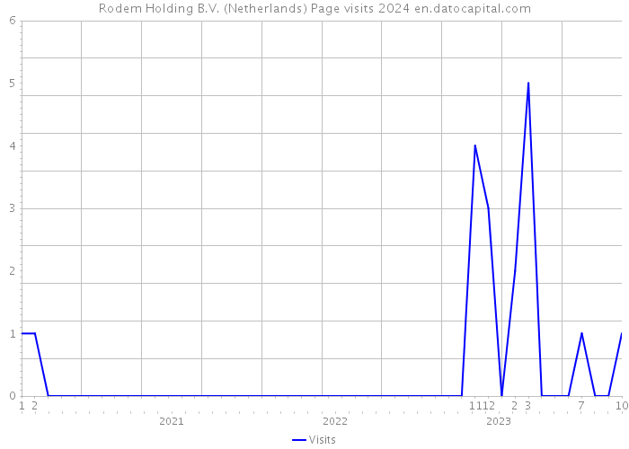 Rodem Holding B.V. (Netherlands) Page visits 2024 