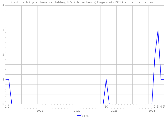 Kruitbosch Cycle Universe Holding B.V. (Netherlands) Page visits 2024 
