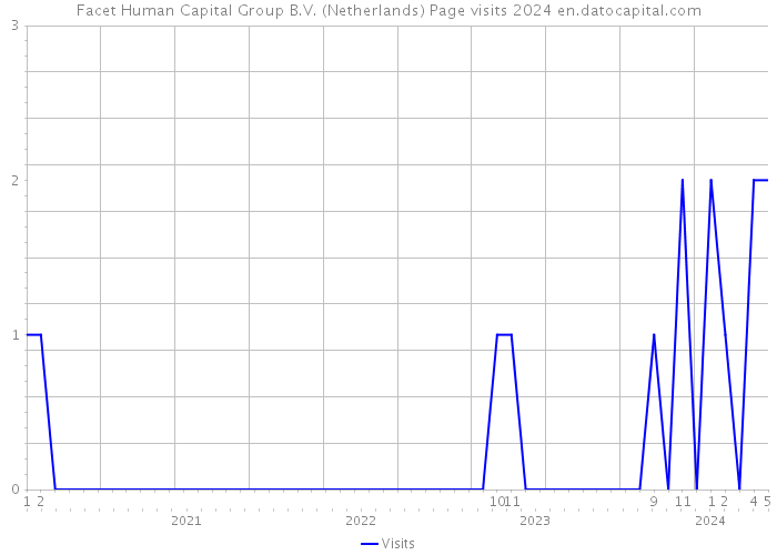 Facet Human Capital Group B.V. (Netherlands) Page visits 2024 