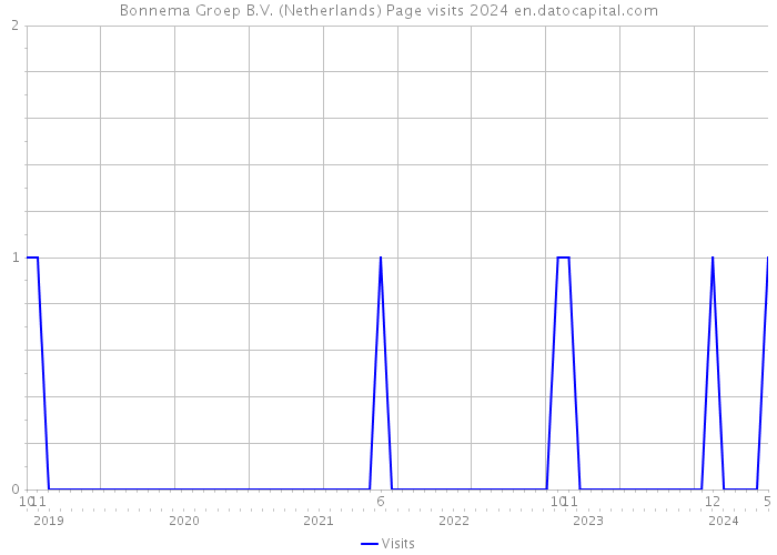 Bonnema Groep B.V. (Netherlands) Page visits 2024 