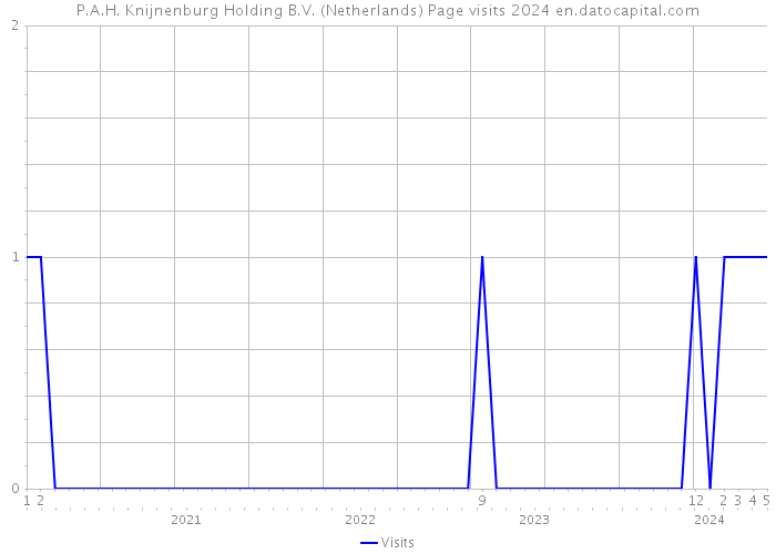 P.A.H. Knijnenburg Holding B.V. (Netherlands) Page visits 2024 