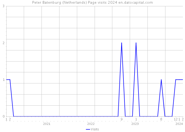 Peter Batenburg (Netherlands) Page visits 2024 