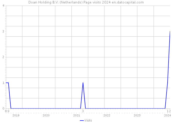 Doan Holding B.V. (Netherlands) Page visits 2024 
