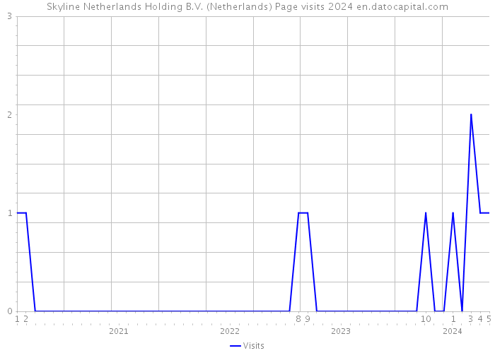 Skyline Netherlands Holding B.V. (Netherlands) Page visits 2024 