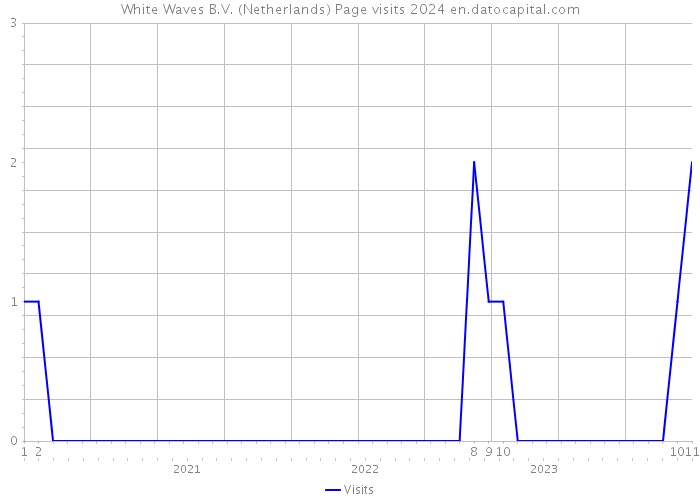White Waves B.V. (Netherlands) Page visits 2024 