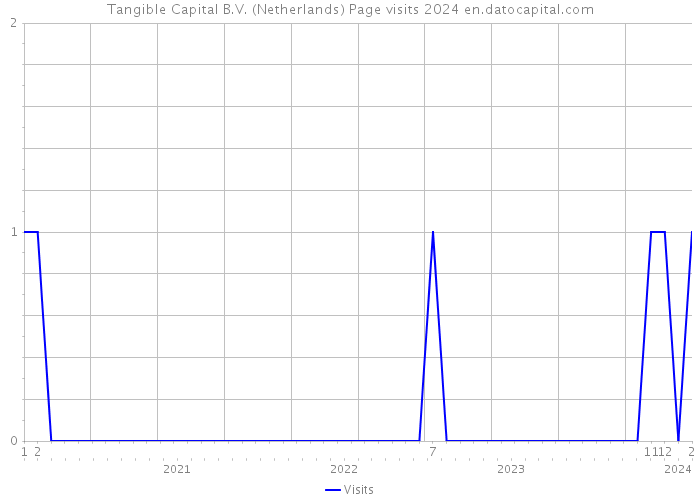 Tangible Capital B.V. (Netherlands) Page visits 2024 