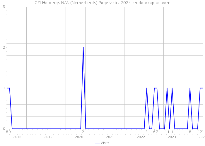 CZI Holdings N.V. (Netherlands) Page visits 2024 