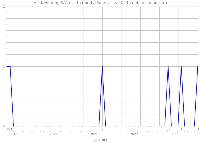 H.P.J. Holding B.V. (Netherlands) Page visits 2024 