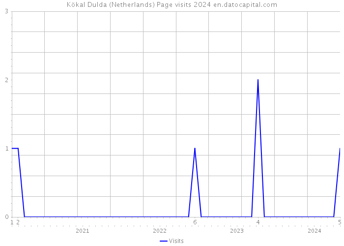Kökal Dulda (Netherlands) Page visits 2024 