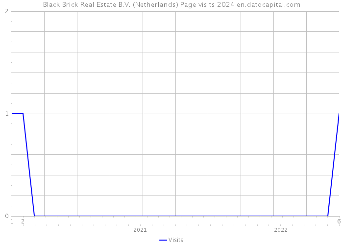 Black Brick Real Estate B.V. (Netherlands) Page visits 2024 