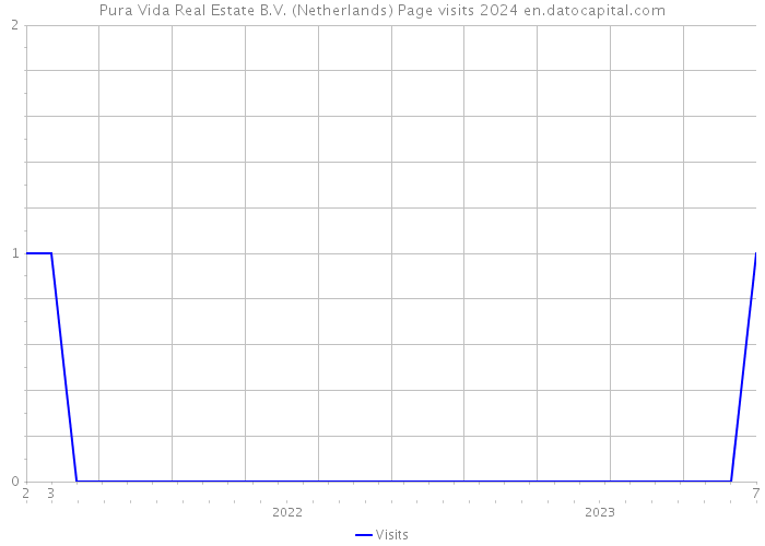 Pura Vida Real Estate B.V. (Netherlands) Page visits 2024 