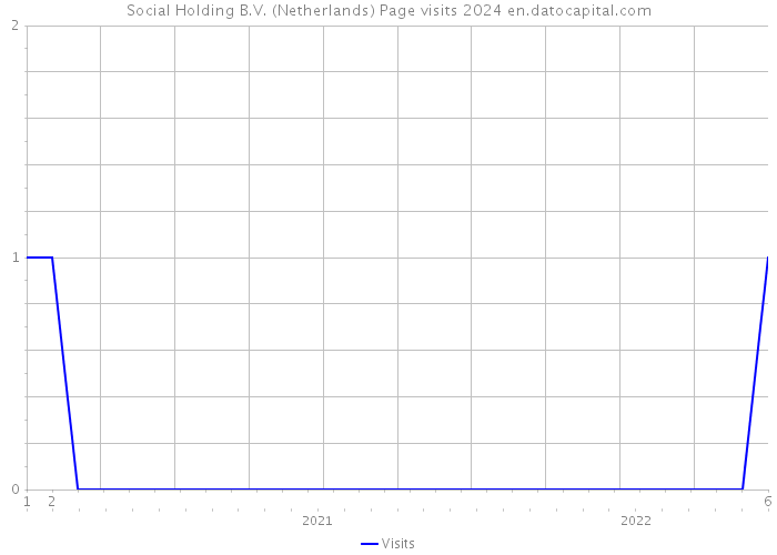 Social Holding B.V. (Netherlands) Page visits 2024 