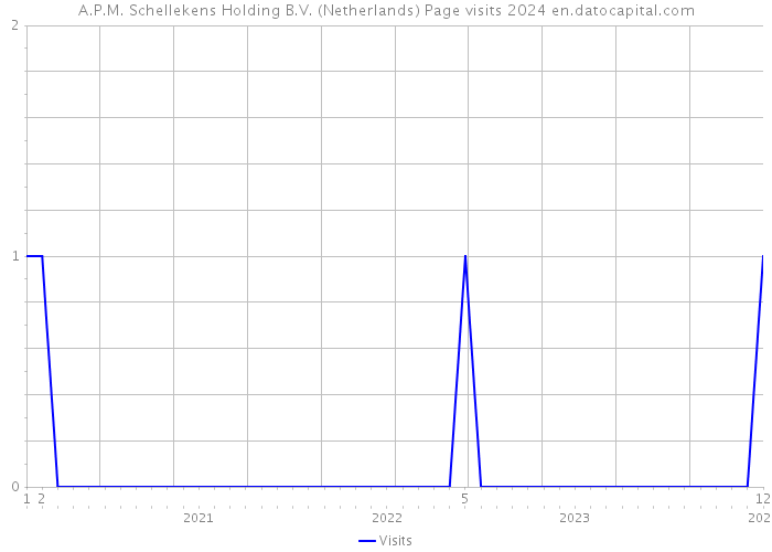 A.P.M. Schellekens Holding B.V. (Netherlands) Page visits 2024 