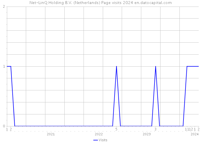 Net-LinQ Holding B.V. (Netherlands) Page visits 2024 