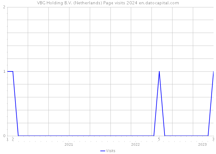 VBG Holding B.V. (Netherlands) Page visits 2024 