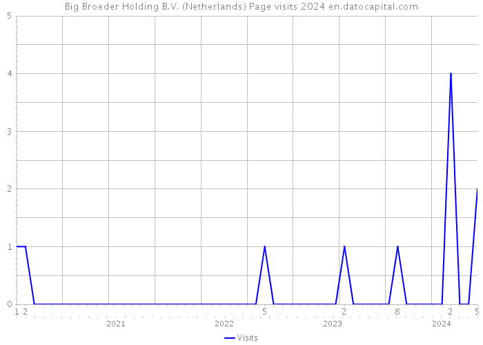 Big Broeder Holding B.V. (Netherlands) Page visits 2024 