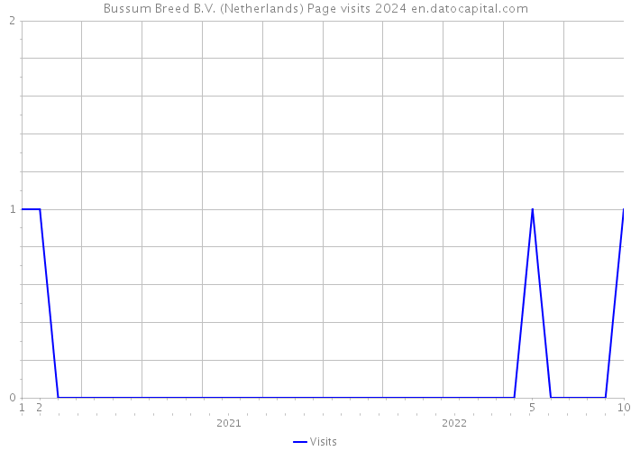 Bussum Breed B.V. (Netherlands) Page visits 2024 