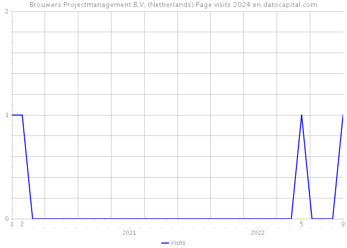 Brouwers Projectmanagement B.V. (Netherlands) Page visits 2024 