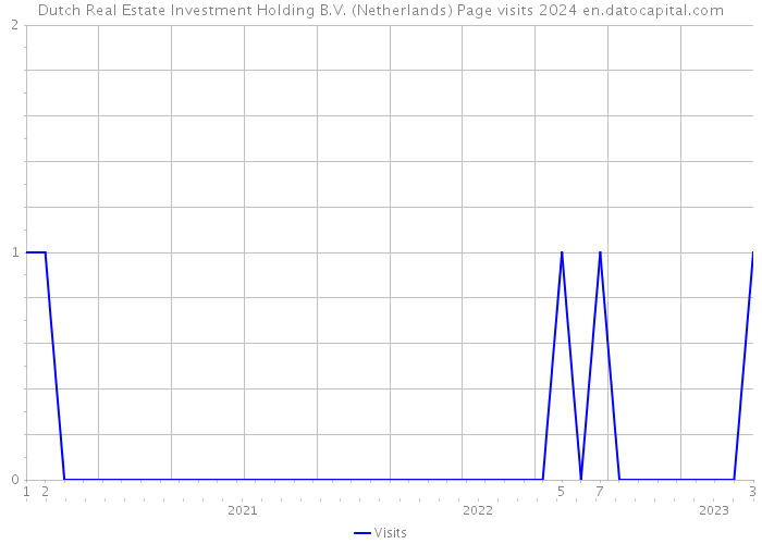 Dutch Real Estate Investment Holding B.V. (Netherlands) Page visits 2024 
