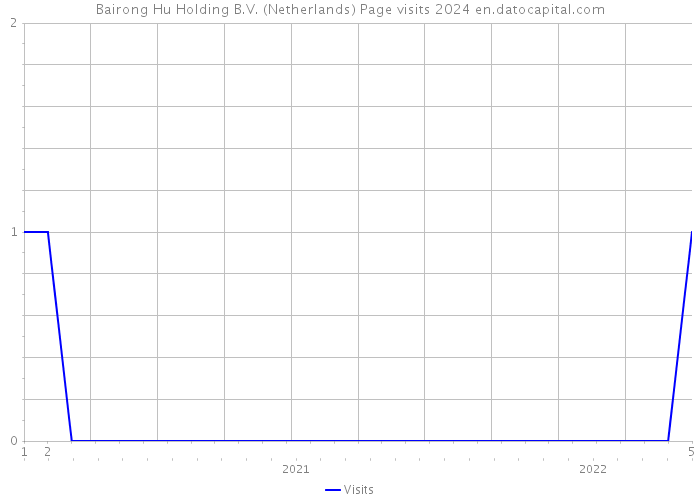 Bairong Hu Holding B.V. (Netherlands) Page visits 2024 