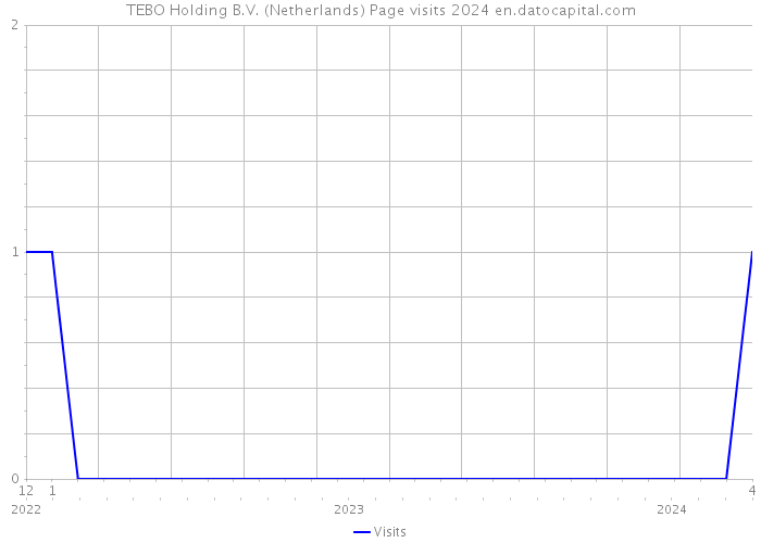 TEBO Holding B.V. (Netherlands) Page visits 2024 
