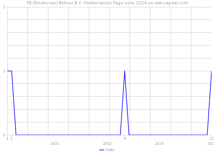 TB (Eindhoven) Beheer B.V. (Netherlands) Page visits 2024 