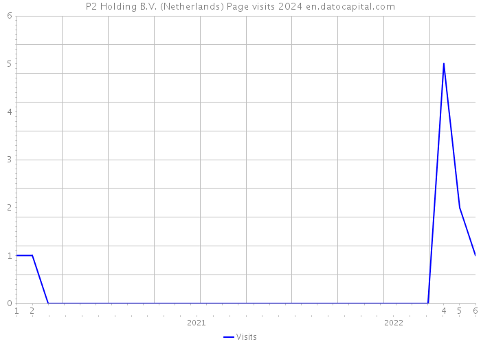 P2 Holding B.V. (Netherlands) Page visits 2024 