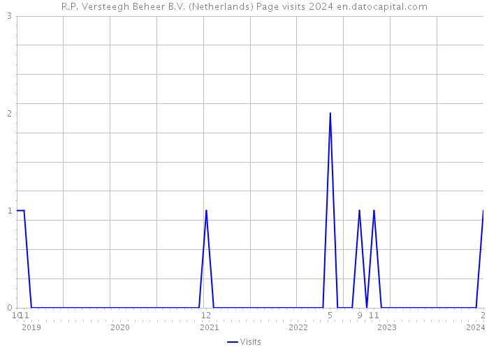 R.P. Versteegh Beheer B.V. (Netherlands) Page visits 2024 