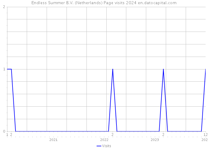 Endless Summer B.V. (Netherlands) Page visits 2024 
