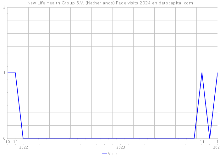 New Life Health Group B.V. (Netherlands) Page visits 2024 