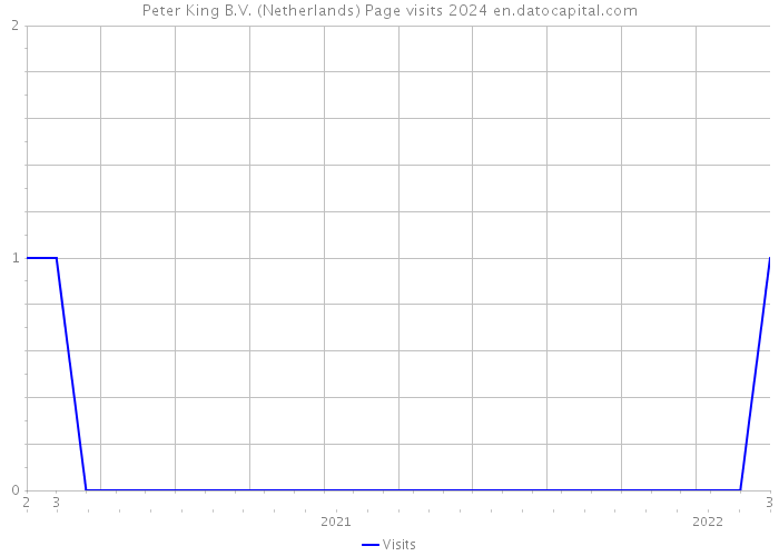 Peter King B.V. (Netherlands) Page visits 2024 
